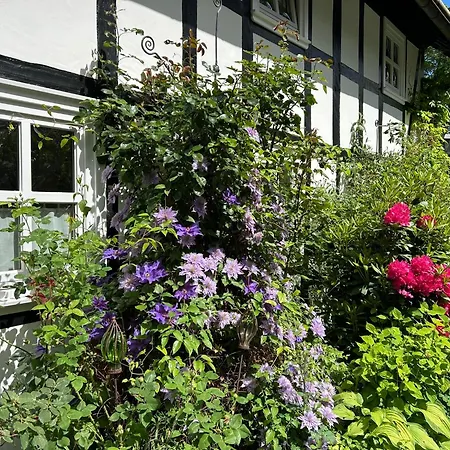 Fachwerkliebe Ornes 1 * Olsberg