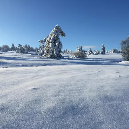 Fachwerkliebe Ornes 1 Apartamento
