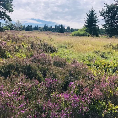 Fachwerkliebe Ornes 1 Apartamento *