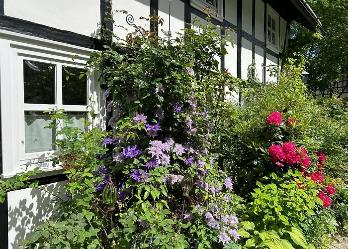 Fachwerkliebe Ornes 1 * Olsberg