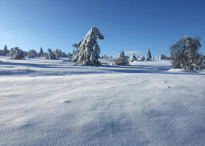 Fachwerkliebe Ornes 1 Apartamento