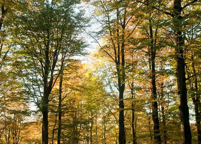 Fachwerkliebe Ornes 1 Apartamento