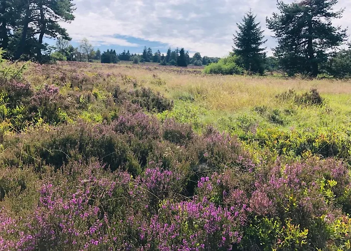 Fachwerkliebe Ornes 1 Apartamento *